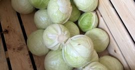 Hola. Tengo a la venta col blanca para industria