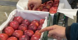 Hola, soy Daniel, tengo Apple de alta calidad hasta