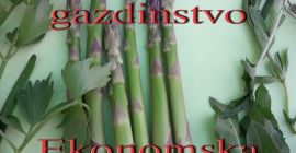 Espárragos verdes de clase extra, del 1 de abril