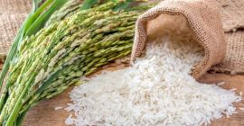 Deléitese con la calidad superior del arroz de Tanzania,