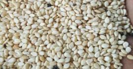 Venta de sésamo en grandes cantidades Productor experimentado, ofrezco