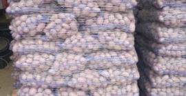 La empresa polaca MM TRADE KONSULTING ofrece la venta