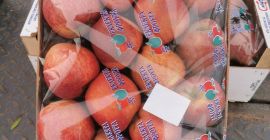 Vendo manzana roja de 540 kg. A 1,20 BGN/kg