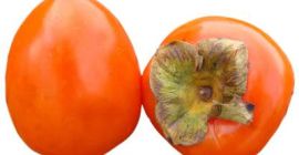 &quot;¡Caquis 100% naturales producidos en Azerbaiyán! Podemos exportar hasta