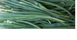 Productor de cebollino 0,88 PLN por manojo (30 g)