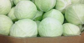 Venderé col blanca de mercado, tamaño 1-4 kg, envasada