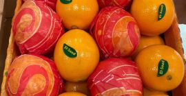 Naranja, mandarina, limón, granada, patata De Egipto, Chipre, Turquía,