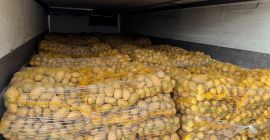 Ofrecemos Patatas Soraya envasadas en sacos de 15kg. Calibre