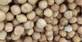 Garbanzos GARBANZOS (TIPO KABULI) Cosecha 2024 Humedad: 12,0 %