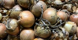Compraré cebollas amarillas para pelar, de al menos 40