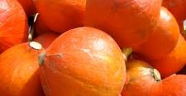 Buscamos calabaza Hokkaido ecológica. Por favor, haznos una oferta.