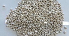 ¡Buen día! Estimados clientes, Somos la empresa: FLAX TRADE