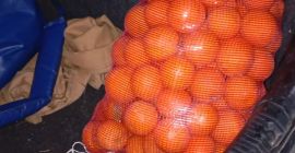 Naranjas de zumo de palma del rio de mucha