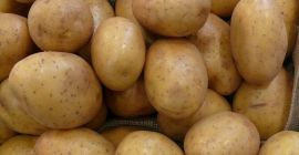 Papas de mesa – al por mayor de la