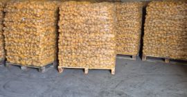 Hola, vendo por ejemplo una patata envasada en 10kg