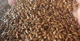 Venta de lino marrón para exportación 99,9% de humedad