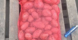 Se vende Patatas de mesa Redfantasy 45-75 Cepilladas Envase