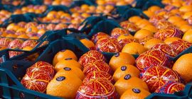 Naranja fresca Valencia