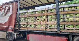 FIA GOGOT FRUIT GRECIA SALONIK, DEVOLVERÁ LA FRESCURA DE
