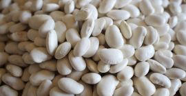 Hola. Ofrezco a la venta frijoles blancos Jaś karłowy,