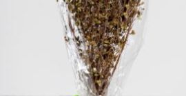 Orégano orgánico en manojos de 30g Nuestro orégano es