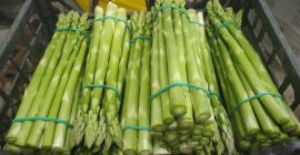 Venderé espárragos verdes, celadones, a partir de abril.
