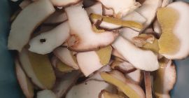 Boletus edulis en rodajas, primera calidad