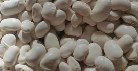 Hermosos frijoles Jas, cosecha 2024