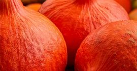 Semillas de calabaza Hokkaido a la venta: ¡excelente precio!