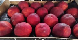 At MWT, we simplify your sourcing process: 5kg export