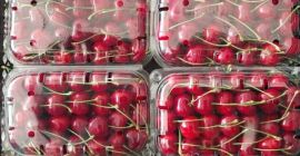Cerezas dulces al por mayor de Uzbekistán, disponibles en