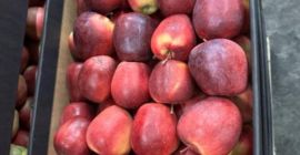 Hola, ofrecemos manzanas de Polonia envasadas en cajas de
