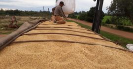 Mikirela es un punto de referencia en el comercio