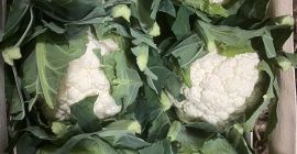 Hola, enviamos frutas y verduras frescas de Polonia a