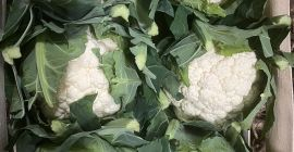 Hola, enviamos frutas y verduras frescas de Polonia a