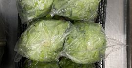 Lechuga mantecosa Rosso Bianco fresca, directamente del campo. Entrega