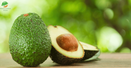 En Premium Foods International, nos enorgullece ofrecer los mejores
