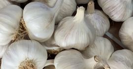 AJO MORADO ESPAÑOL: Nuestro ajo morado destaca por su: