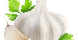 ✅ Ajo seco egipcio premium para exportación de AL-WALEED