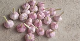 Ajo deshidratado. Exportación desde Uzbekistán: ajo rojo, ajo blanco,