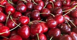 Vendo cerezas negras, 20 cajas de 5 kg cada