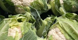 Se vende coliflor fresca, 6 unidades por caja. Aproximadamente