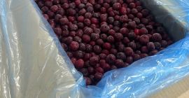 Vendo cerezas frescas congeladas cosecha 2025 muy buena calidad