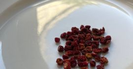 Fresas silvestres secas 100 gramos - 15e por favor