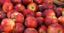 Buscamos un proveedor de manzanas para exportación. Nos interesan