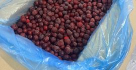 Hay cerezas orgánicas frescas y jugosas Precio con entrega
