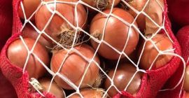 Cebolla amarilla, roja o blanca