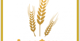 LLC “AGRO FOND” FCA 80-600 Brody, Ucrania Proteína de