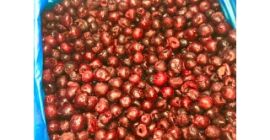 Cerezas congeladas sin hueso calibre 14+ ❄ — cosecha