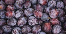 Compramos ciruelas industriales. No nos preocupa el tamaño ni